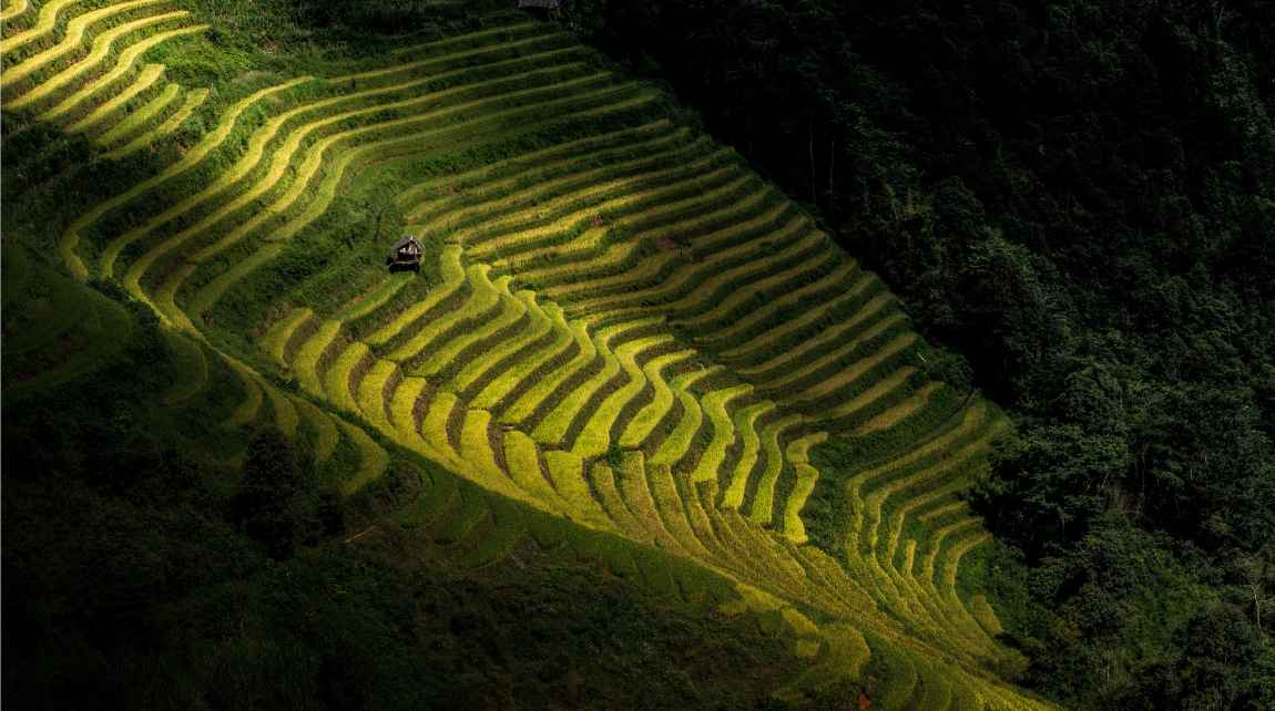 mu cang chai vietnam